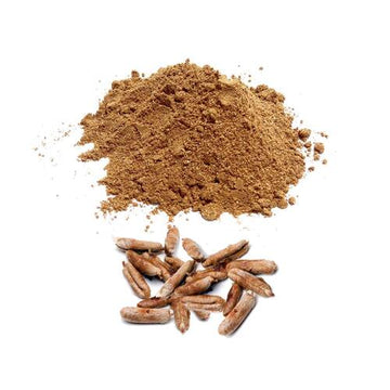 Hurma çekirdeği tozu 100 gram
