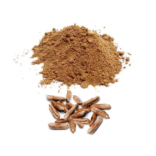 Hurma çekirdeği tozu 100 gram
