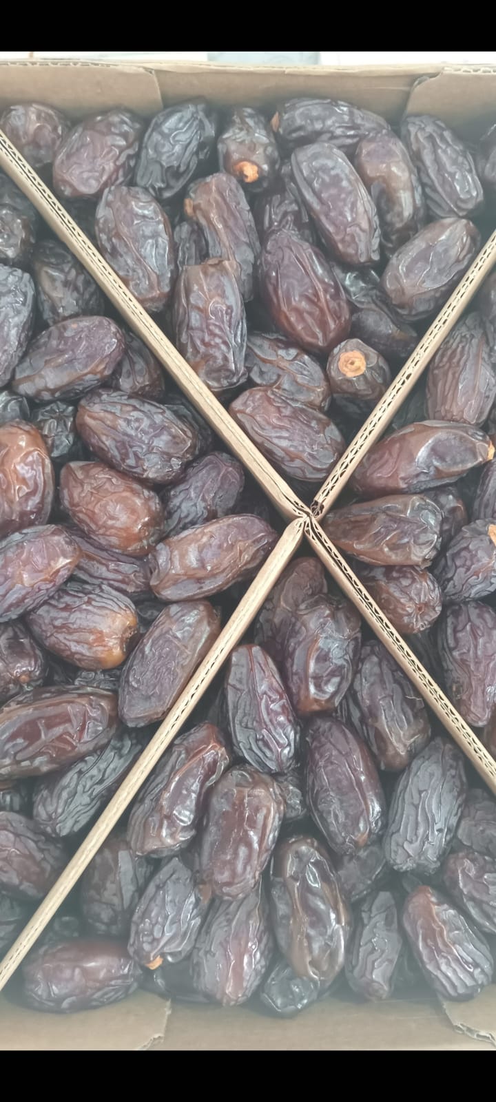 Filistin hurması medjoul Filistina dates