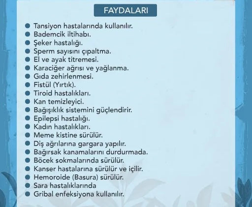 ADEM ATA ŞURUBU