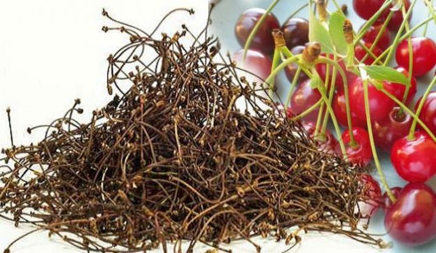 Kiraz sapı çayı 30 gram